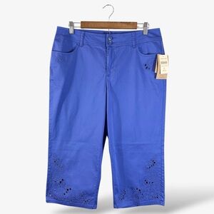 Coldwater Creek Blue Ivy Cropped Pants Size 12P Embroidered Lace Trim Casual